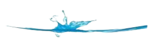 Site TMM Local